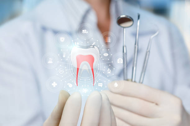 Best Orthodontics  in Mascotte, FL